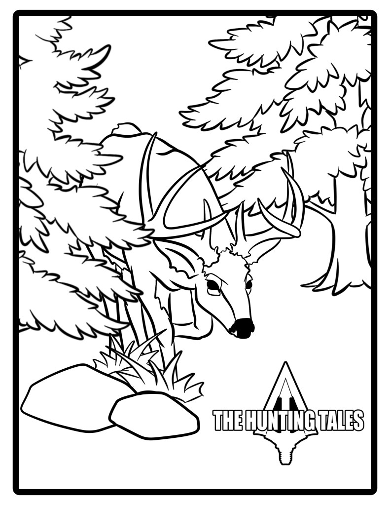 The Hunting Tales buck in rut coloring sheet.